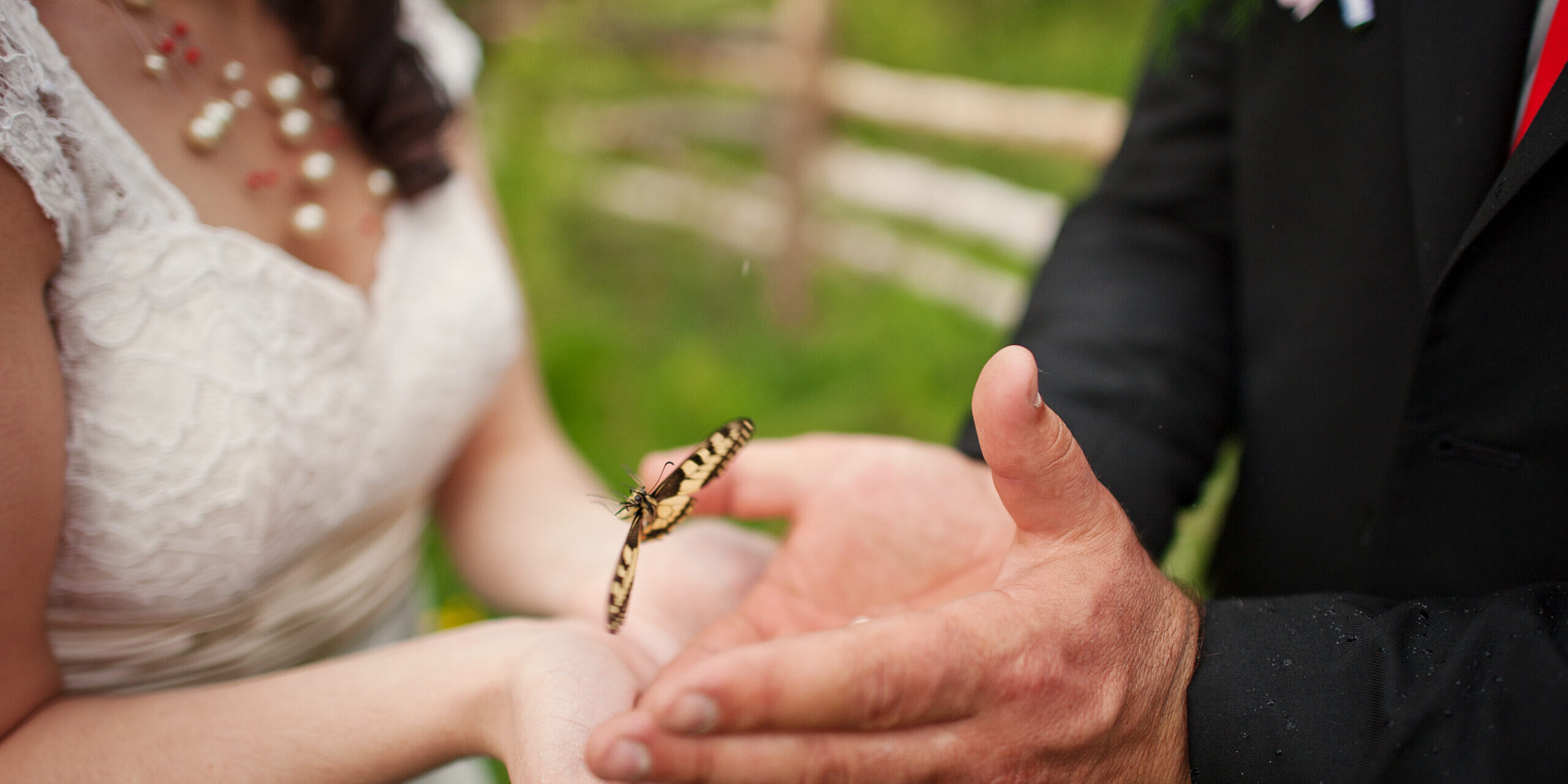 wedding couple in hands butterfly